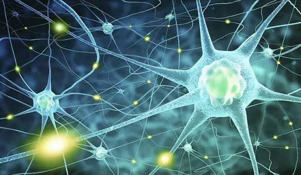 Neurology
